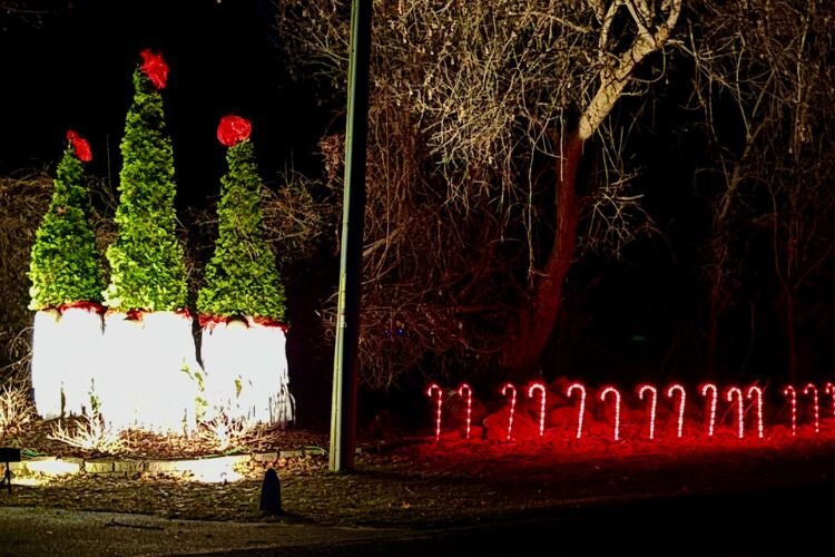 The holiday display at 1717 E. High Street in Mt. Pleasant features lawn gnomes. 