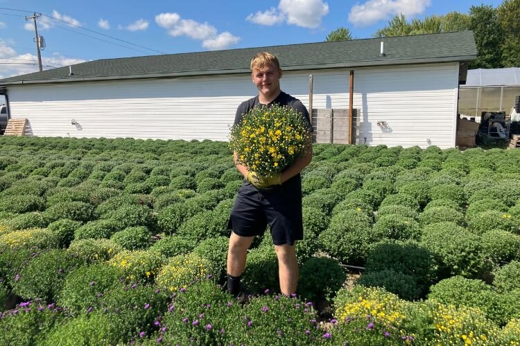 Kenny Daniels holds a vibrant display of mums at his mom's greenhouse, a testament to his hands-on experience and the agricultural knowledge he’s gained through FFA and family involvement.