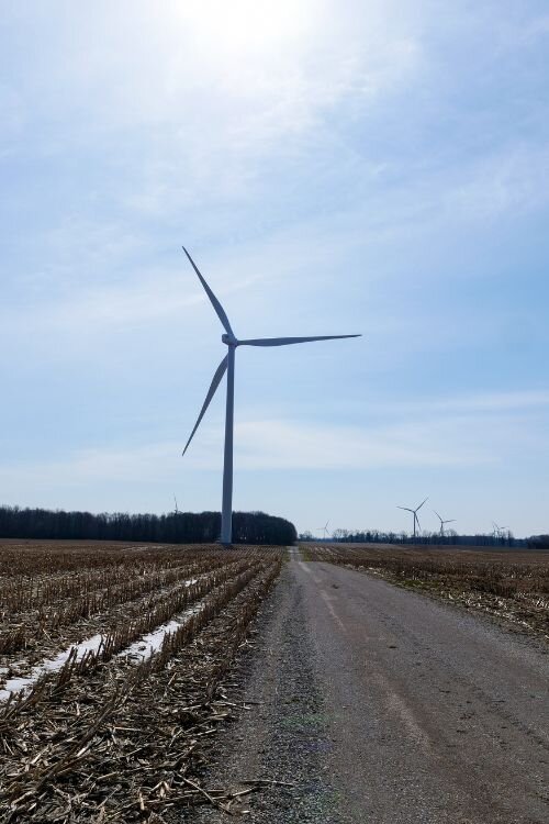 Supporting wind power, Moeggenborg Farms leases land on their property for a wind turbine. Courtney Jerome / Epicenter Mt. Pleasant
