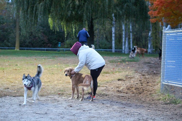 Hannah's Bark Park in Mt. Pleasant, Michigan. Photo Courtesy of Riley Connell.