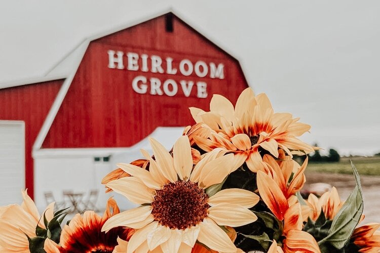 Fall colors are plentiful at Heirloom Grove.(Photo courtesy of Heirloom Grove)