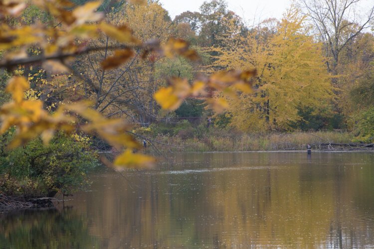 A man fishes in the Chippewa River at Deerfield Nature Park.