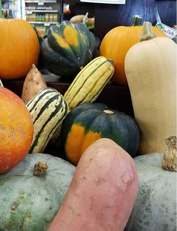 GreenTree Cooperative Grocery and the local farmers markets provide fresh, local produce for fall cooking and baking.