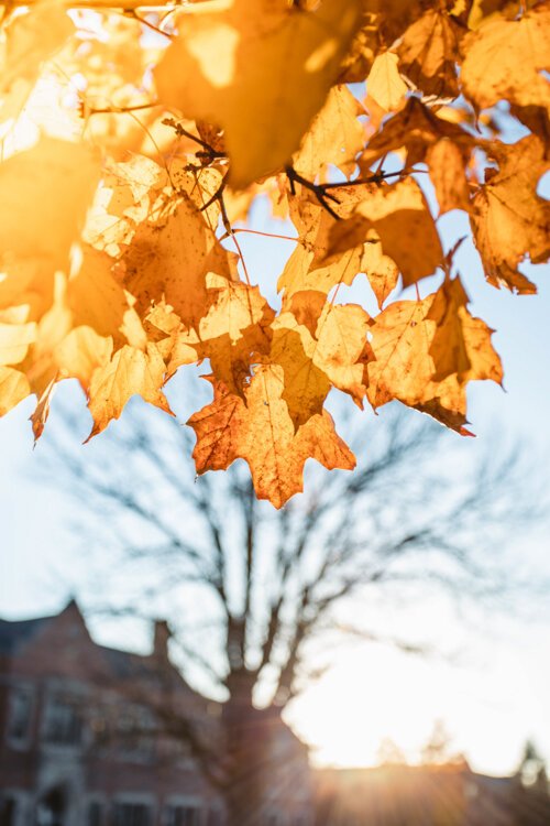 Dramatic foliage provides the perfect backdrop for a variety of fall activities in Michigan. Photo Courtesy of Quinn Kirby