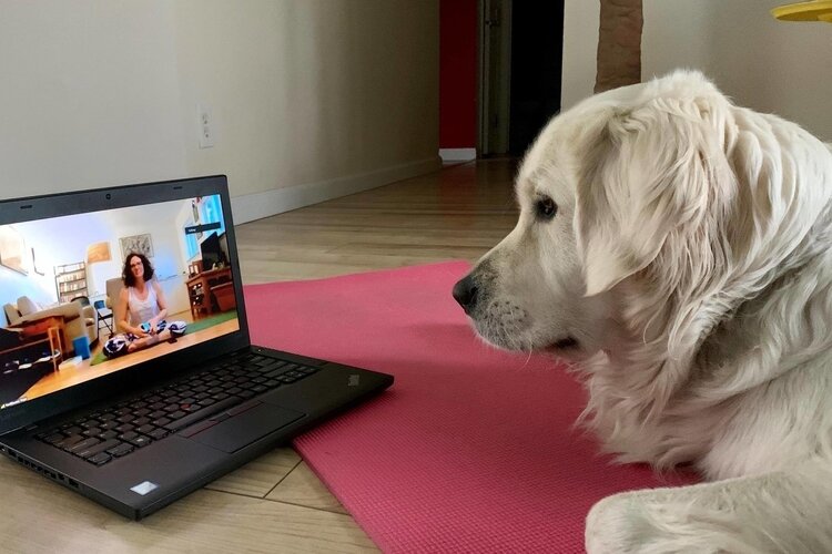 RedBloom’s online virtual studio opened Tuesday, March 17.