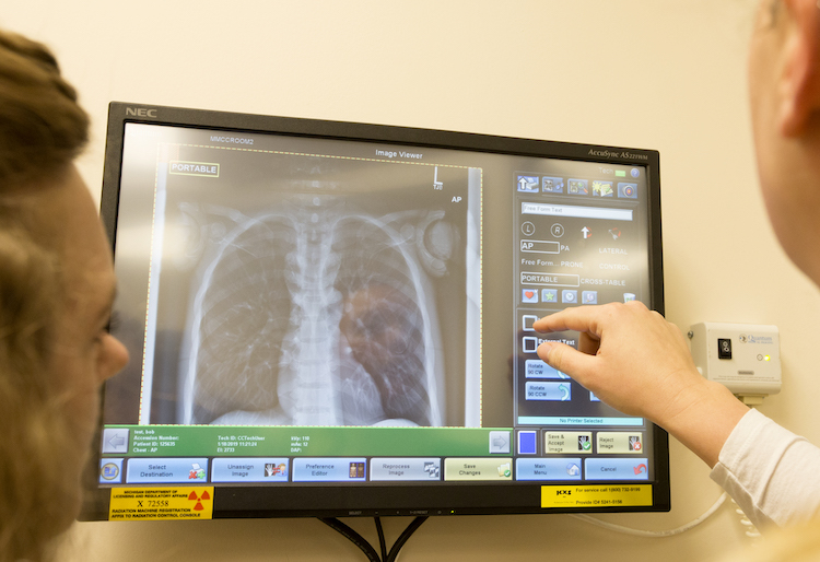 X-rays from the anthropomorphic full body phantom is projected onto a screen for students to examine.