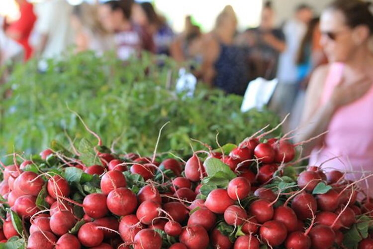 (Photo courtesy of Mt. Pleasant Parks & Recreation)