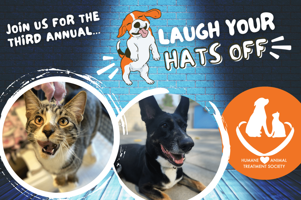 Mt. Pleasant October 2025 events