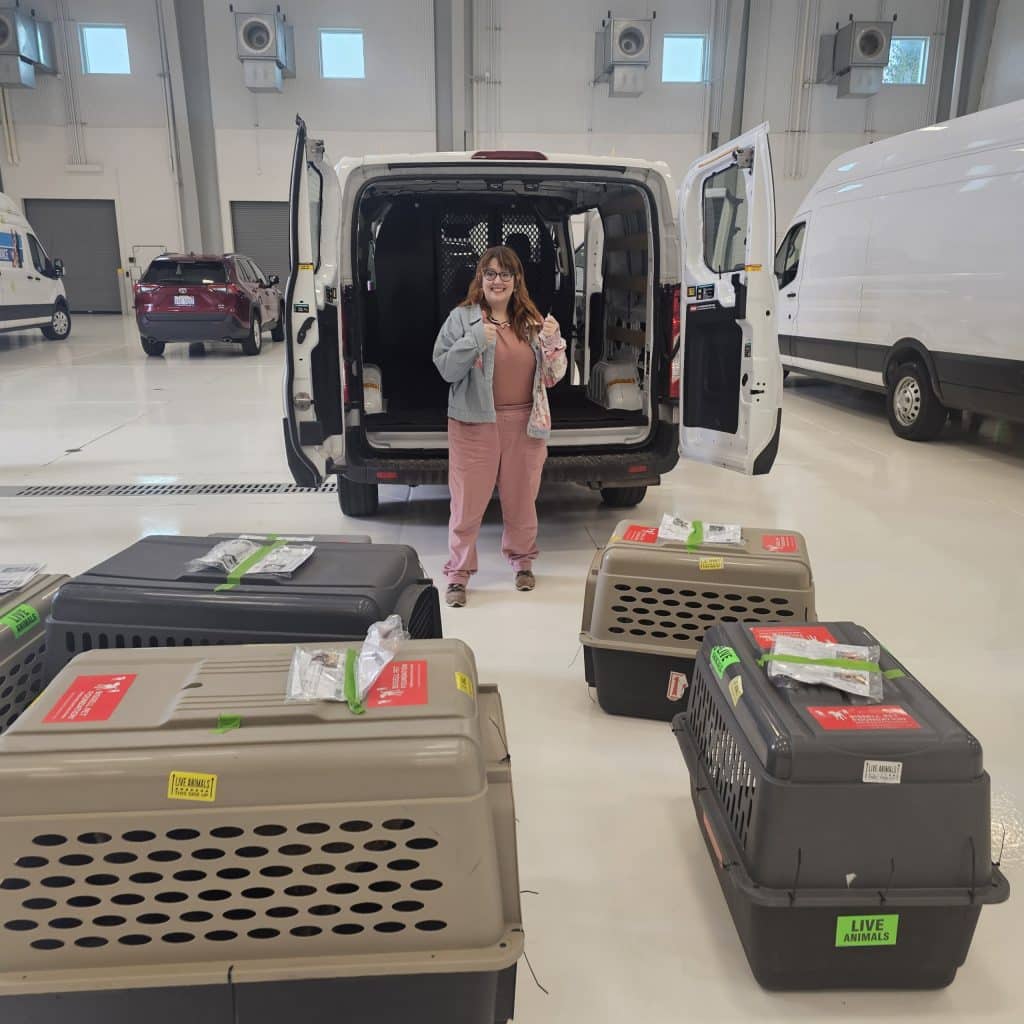 Isabella County HATS