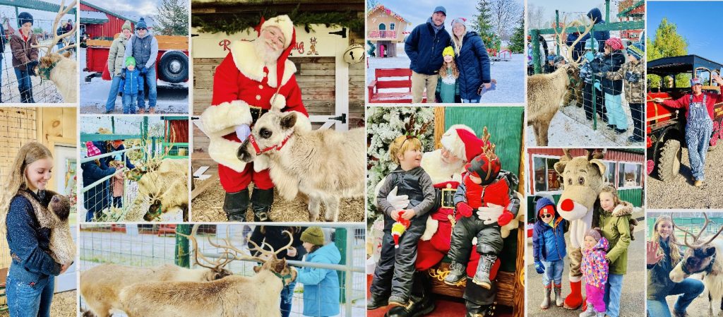 November Events Mt. Pleasant