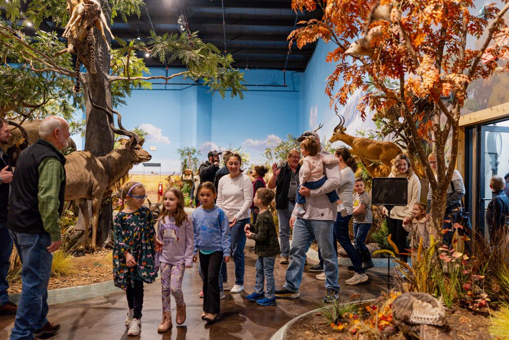 Clare wildlife museum