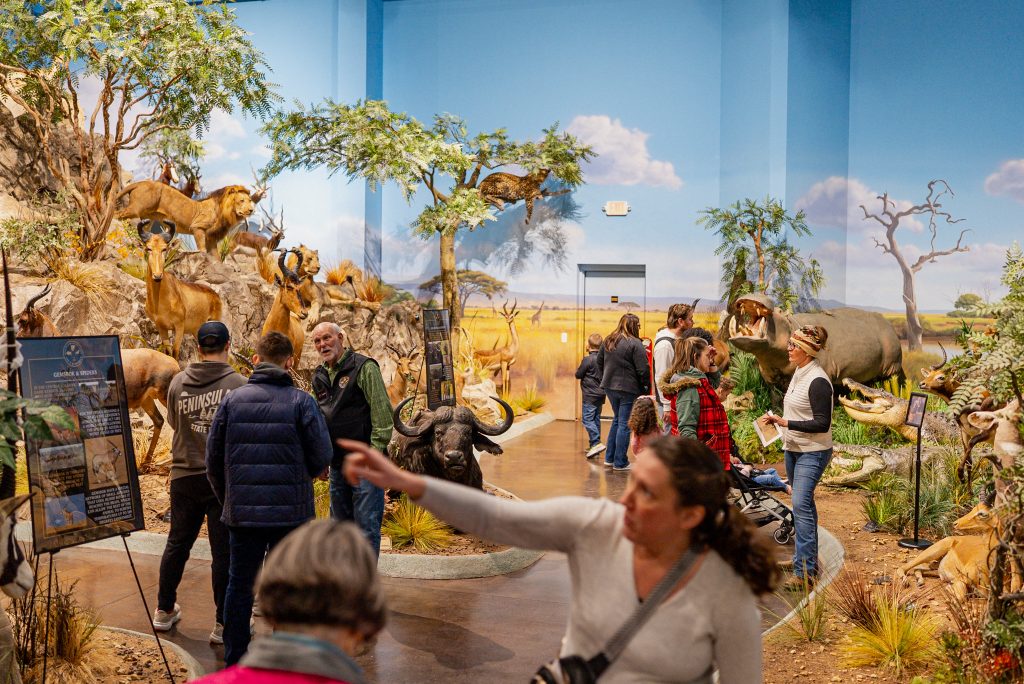 Clare wildlife museum